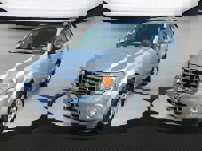 Used 2010 Ford Escape XLT