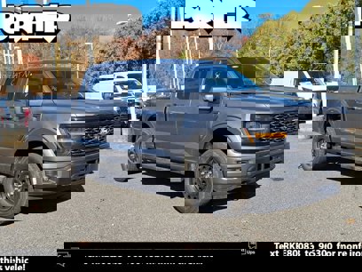 New 2024 Ford F150 STX w/ STX Black Appearance Package