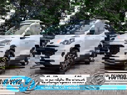 Used 2022 Ford Escape SE w/ Convenience Package