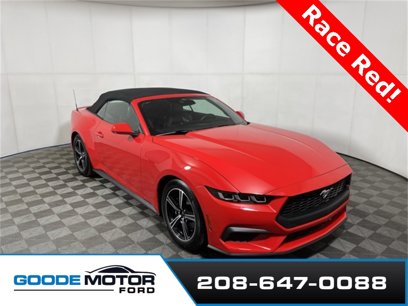 Used 2024 Ford Mustang Premium