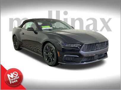 New 2025 Ford Mustang Premium w/ Mustang Nite Pony Package