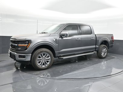 New 2024 Ford F150 XLT w/ Equipment Group 302A MID
