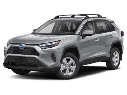 New 2025 Toyota RAV4 XLE Premium