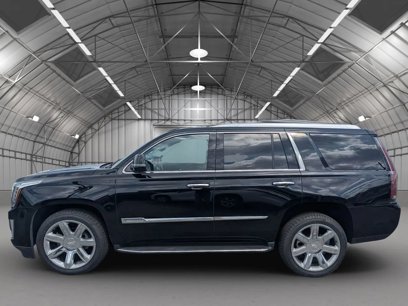 Used 2016 Cadillac Escalade Luxury