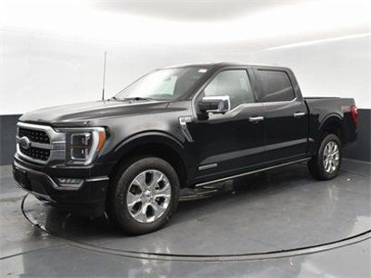 Used 2023 Ford F150 Platinum w/ Equipment Group 701A High