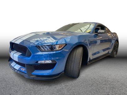 Used 2019 Ford Mustang Shelby GT350 w/ Technology Package