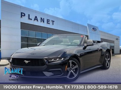 Used 2024 Ford Mustang Premium