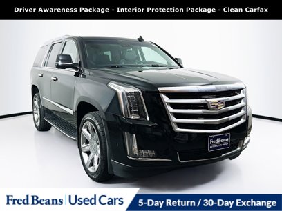 Used 2019 Cadillac Escalade Luxury