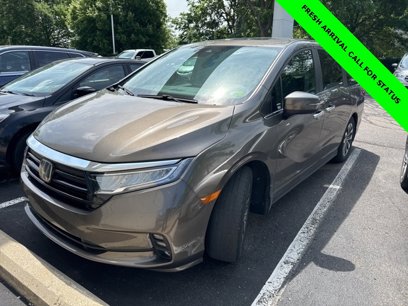 Used 2023 Honda Odyssey EX-L