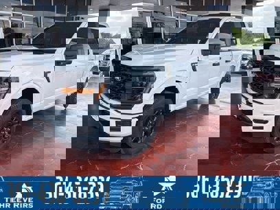 New 2025 Ford F150 STX