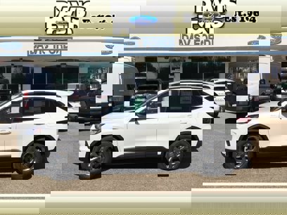 New 2025 Ford Escape ST-Line w/ Tech Pack #1
