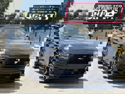 Used 2025 Ford Mustang Premium