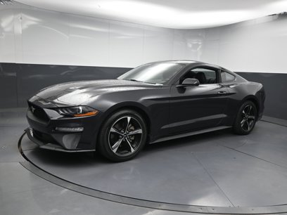 Used 2023 Ford Mustang Coupe w/ Equipment Group 101A
