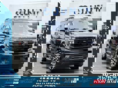 New 2025 Ford Expedition Active