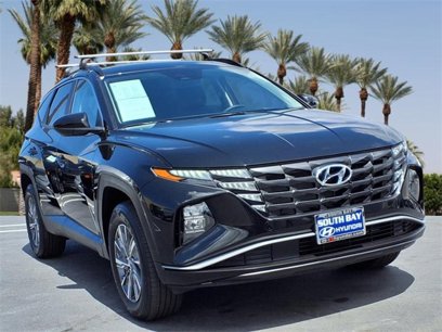 Certified 2024 Hyundai Tucson Blue