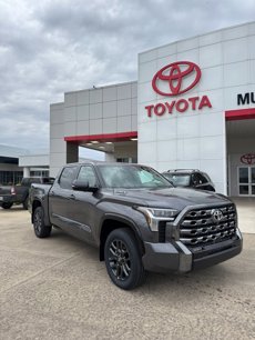 New 2025 Toyota Tundra Platinum