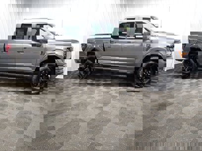 New 2025 Ford F150 STX w/ STX Black Appearance Package