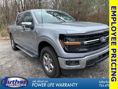 New 2024 Ford F150 XLT w/ Equipment Group 302A MID