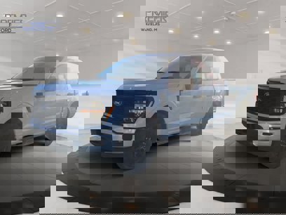 New 2025 Ford F150 STX w/ STX Black Appearance Package