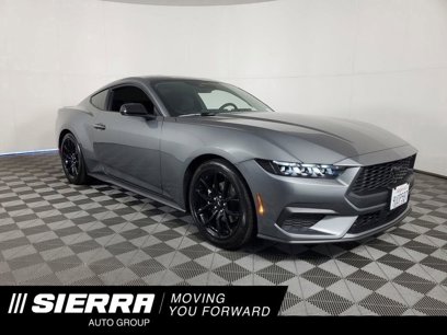 Used 2025 Ford Mustang Coupe w/ Mustang Nite Pony Package