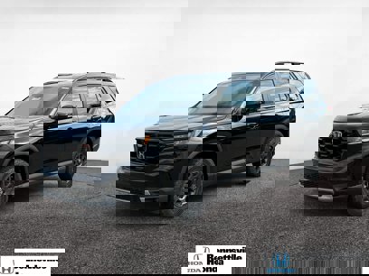 New 2025 Honda Pilot TrailSport