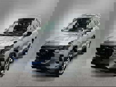 Used 2024 Ford Escape Active