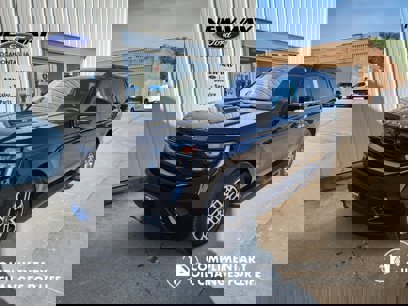 New 2025 Ford Expedition Active