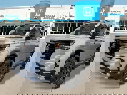 New 2025 Honda Pilot TrailSport