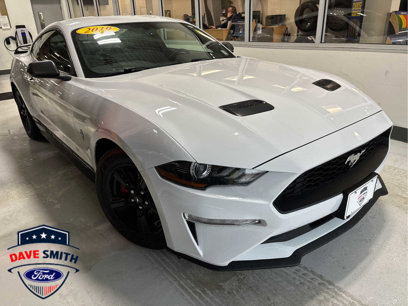 Used 2019 Ford Mustang Coupe