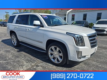 Used 2019 Cadillac Escalade Luxury