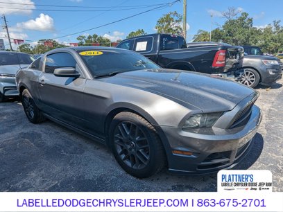 Used 2014 Ford Mustang Premium w/ Equipment Group 203A