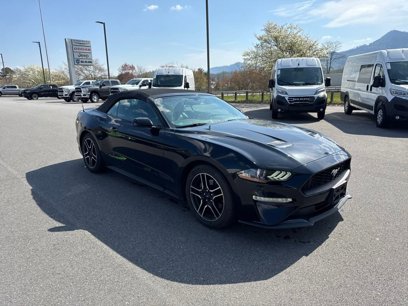 Used 2019 Ford Mustang Premium