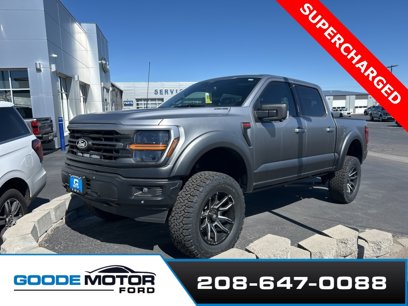 New 2024 Ford F150 XLT w/ Equipment Group 303A High