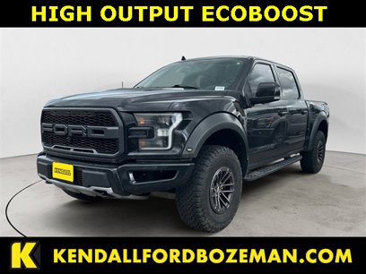 Used 2019 Ford F150 Raptor w/ Equipment Group 802A Luxury