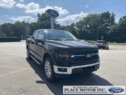 New 2024 Ford F150 XLT w/ Equipment Group 303A High