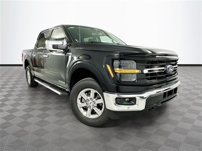 New 2024 Ford F150 XLT w/ Equipment Group 302A MID