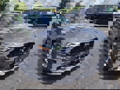 Used 2019 Ford Mustang GT Premium w/ Enhanced Security Package