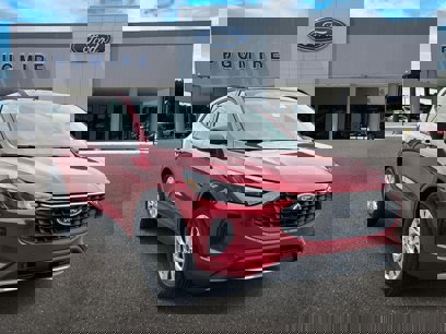 New 2025 Ford Escape ST-Line w/ Tech Pack #1
