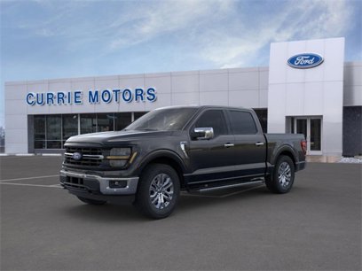 New 2024 Ford F150 XLT w/ Equipment Group 302A MID
