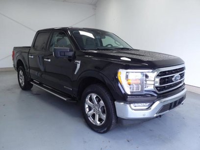 Certified 2022 Ford F150 XLT w/ Equipment Group 302A High