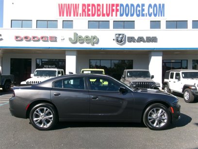 New 2023 Dodge Charger SXT w/ Blacktop Special Edition