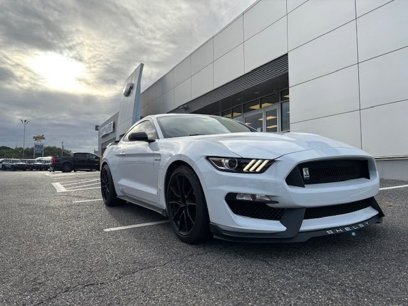 Used 2019 Ford Mustang Shelby GT350 w/ Technology Package