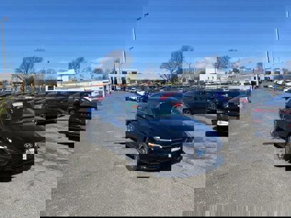 New 2025 Hyundai Elantra SEL