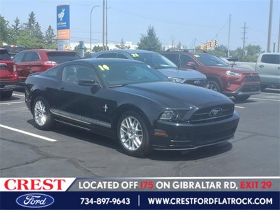 Used 2014 Ford Mustang Premium w/ Equipment Group 202A