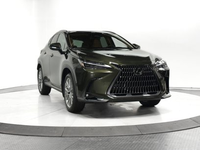 New 2025 Lexus NX 350 AWD w/ Luxury Package