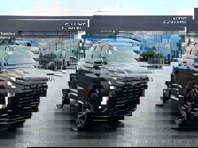 New 2025 Hyundai Palisade Calligraphy