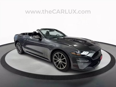 Used 2019 Ford Mustang Premium w/ Equipment Group 201A