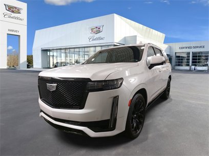 Certified 2023 Cadillac Escalade Sport Platinum w/ LPO, ONYX Package