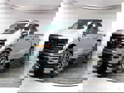 New 2024 Ford F150 STX