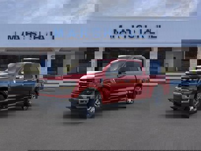 New 2025 Ford F150 XLT w/ Equipment Group 302A MID
